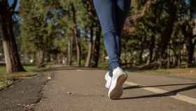 Una mujer corre por un paseo arbolado / GENCAT