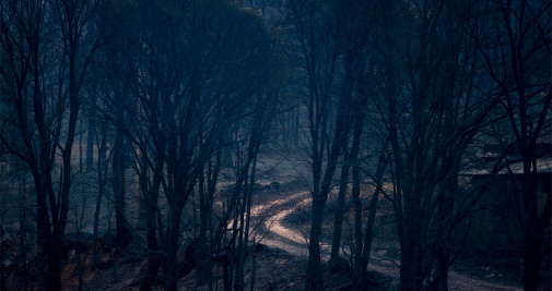 Vista de un área calcinada en la localidad de A Veiga da Cascallá (Rubiá) este martes por el incendio forestal que ya afecta a varios municipios y ya ha arrasado 7.500 hectáreas - EFE/ Brais Lorenzo