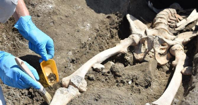Arqueólogos examinando el esqueleto encontrado en Pompeya / PARCO ARCHEOLOGICO DI POMPEI