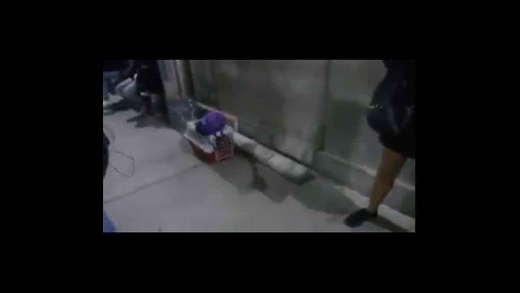 Captura del vídeo de rescate del gato grabado por un pasajero / CG