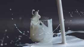 La leche es la protagonista de la bebida Whipped Strawberry Milk / Anita Jankovic en UNSPLASH