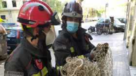El rescate de los bomberos de Barcelona a la gallina atrapada / TWITTER
