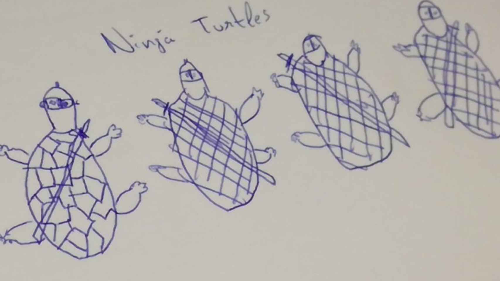 Una imagen de uno de los dibujos de las tortugas en el examen