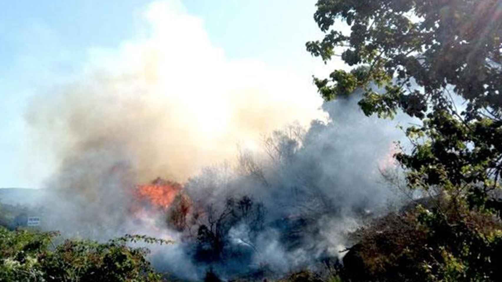 Incendio anterior en una zona forestal en Girona