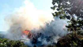 Incendio en una de las zonas forestales de Roses / GENCAT