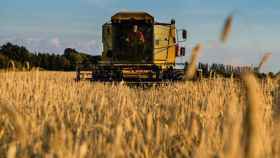 La producción de alimentos se reduce a cada vez menos cultivos, como el del trigo, la soja o el maíz