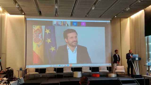 El líder del PP, Pablo Casado, en su intervención en la escuela de verano de Societat Civil Catalana / CG