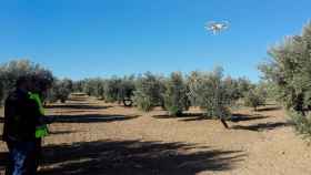 Agricultura de precisión en un olivar de Jaén, Andalucía / EP