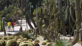 Jardines de Mossèn Costa i Llobera / AYUNTAMIENTO DE BARCELONA