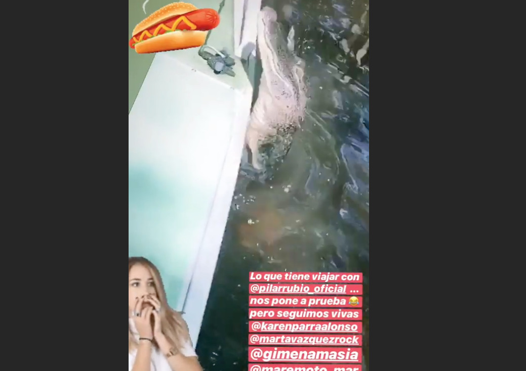 Vania Millán comparte en su Instagram un momento de la excursión con cocodrilos / INSTAGRAM