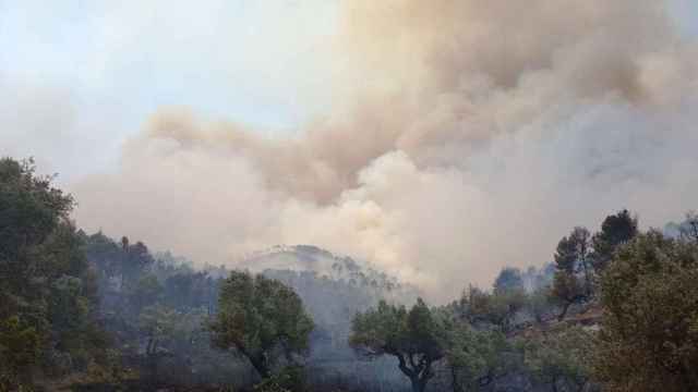 El incendio forestal de Corbera d'Ebre, en Tarragona / AGENTES RURALES