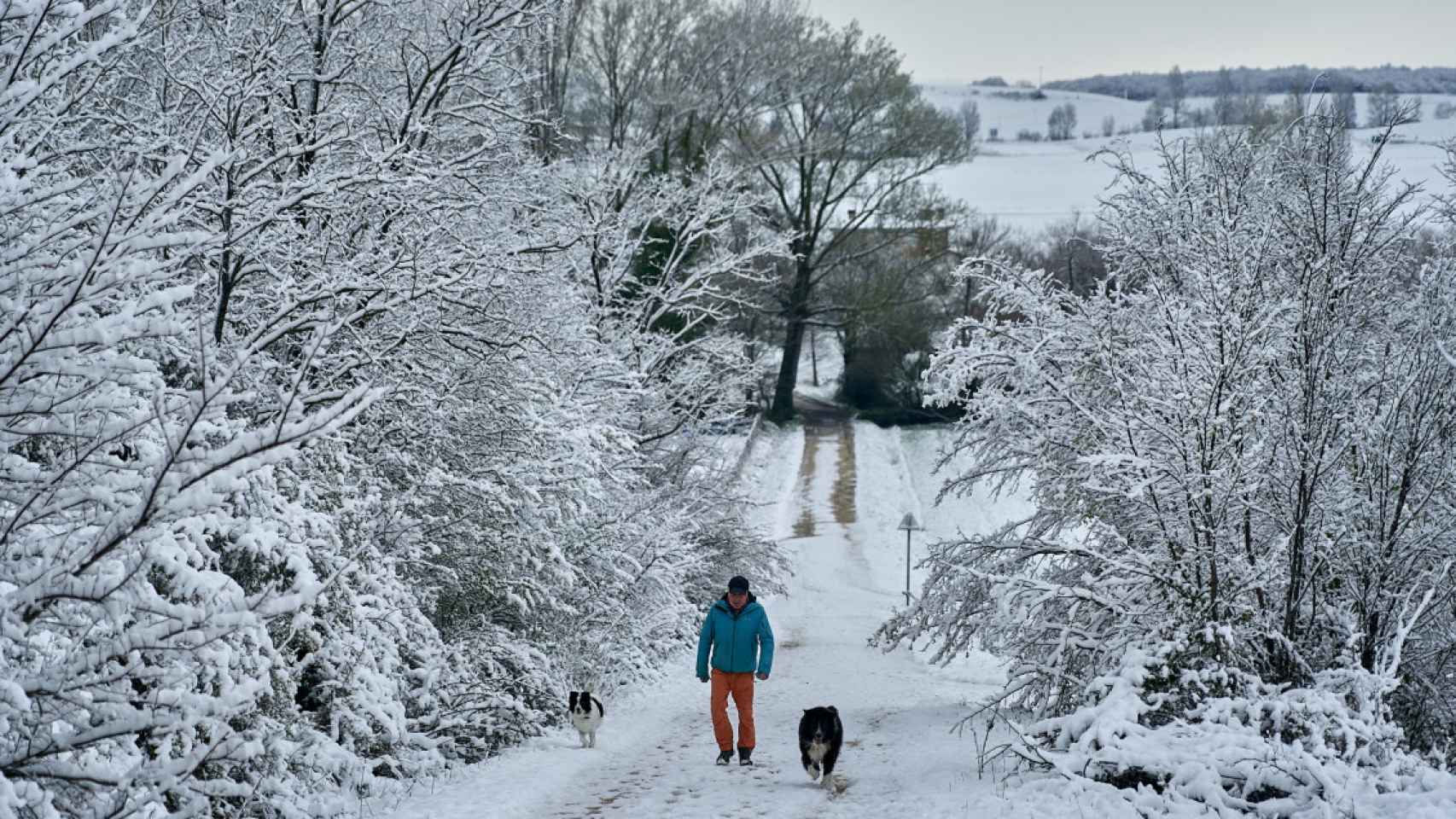 Un hombre con sus perros pasea por el anillo verde de la ciudad de Vitoria tras las nevadas / EFE