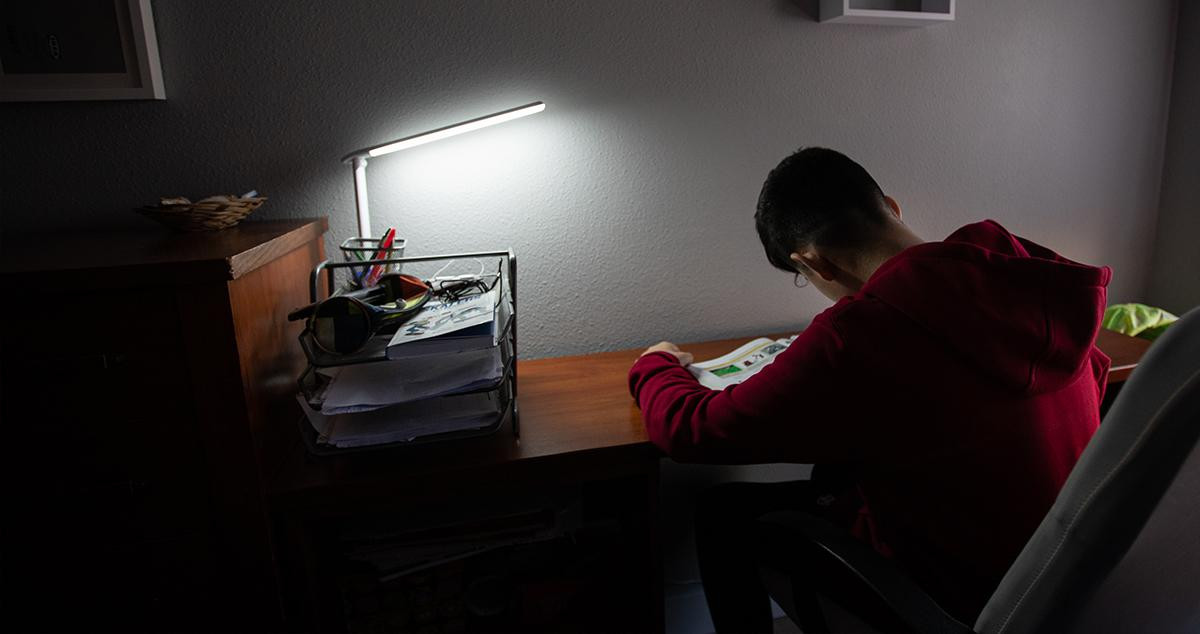 Un adolescente realiza tareas del instituto durante el confinamiento / IÑAKI BERASALUCE (EP)