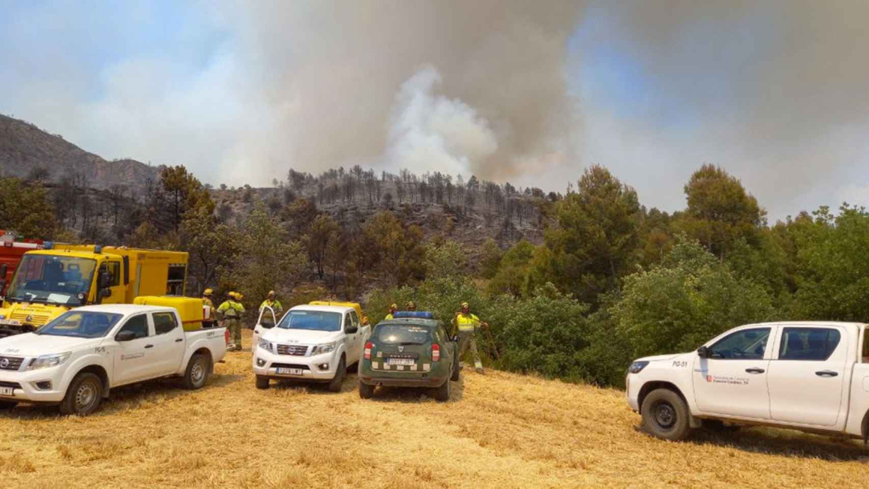 Bomberos, agentes rurales y otros cuerpos trabajan en el incendio de Baldomar, en Artesa de Segre, Lleida