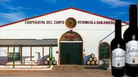 Dos botellas de 'La Gallarda' junto a las instalaciones de la Cooperativa del Campo Vitivinícola Sanluqueña / COVISAN