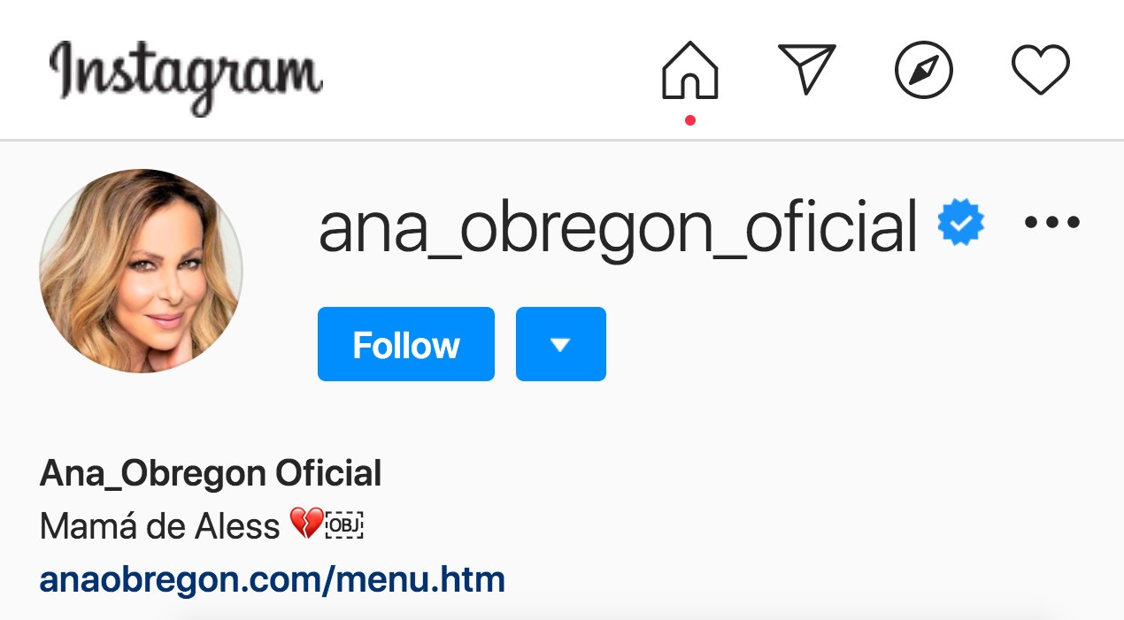 Ana Obregón se cambia la biografía de su Instagram en homenaje a su hijo Aless Lequio / INSTAGRAM
