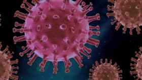 Imagen 3D del coronavirus / PIXABAY
