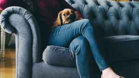 Mascota con su dueño en el sofá: ideal para ver series / PIXABAY