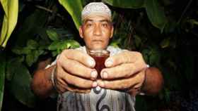 Un chamán con la bebida que proviene de la planta ayahuasca