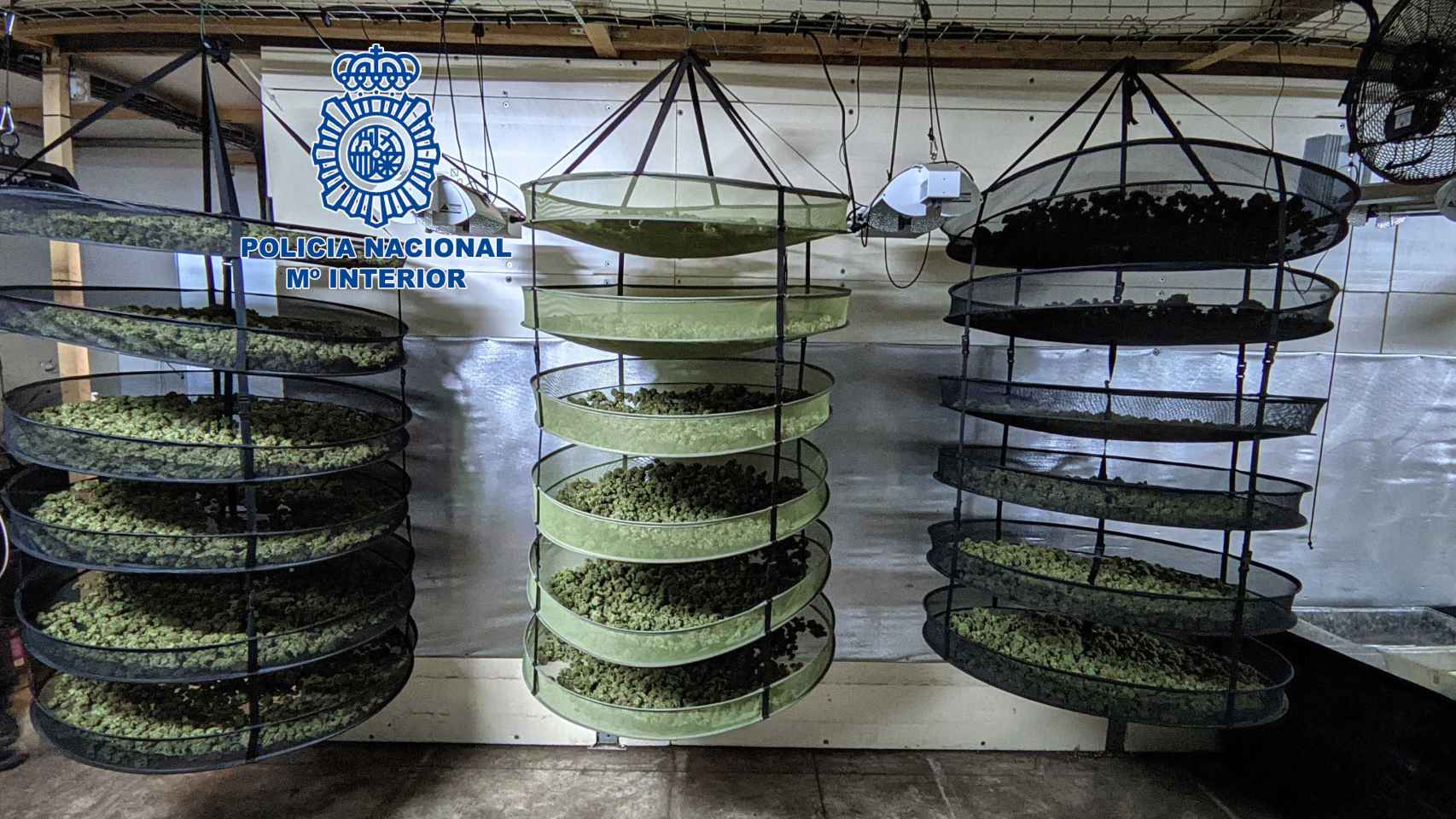 La Policía Nacional desmantela una plantación de marihuana en Barberà del Vallès / POLICIA