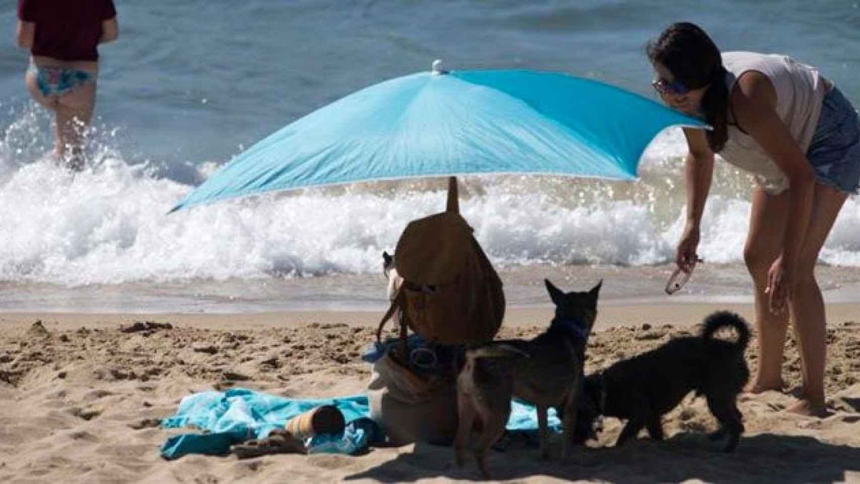 Dos perros se protegen del sol bajo una sombrilla en la Playa de Levante de Barcelona / EFE