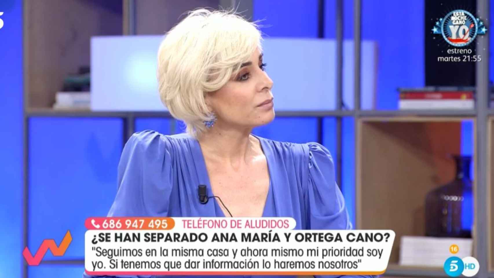 Ana María Aldón en 'Viva la vida' / MEDIASET