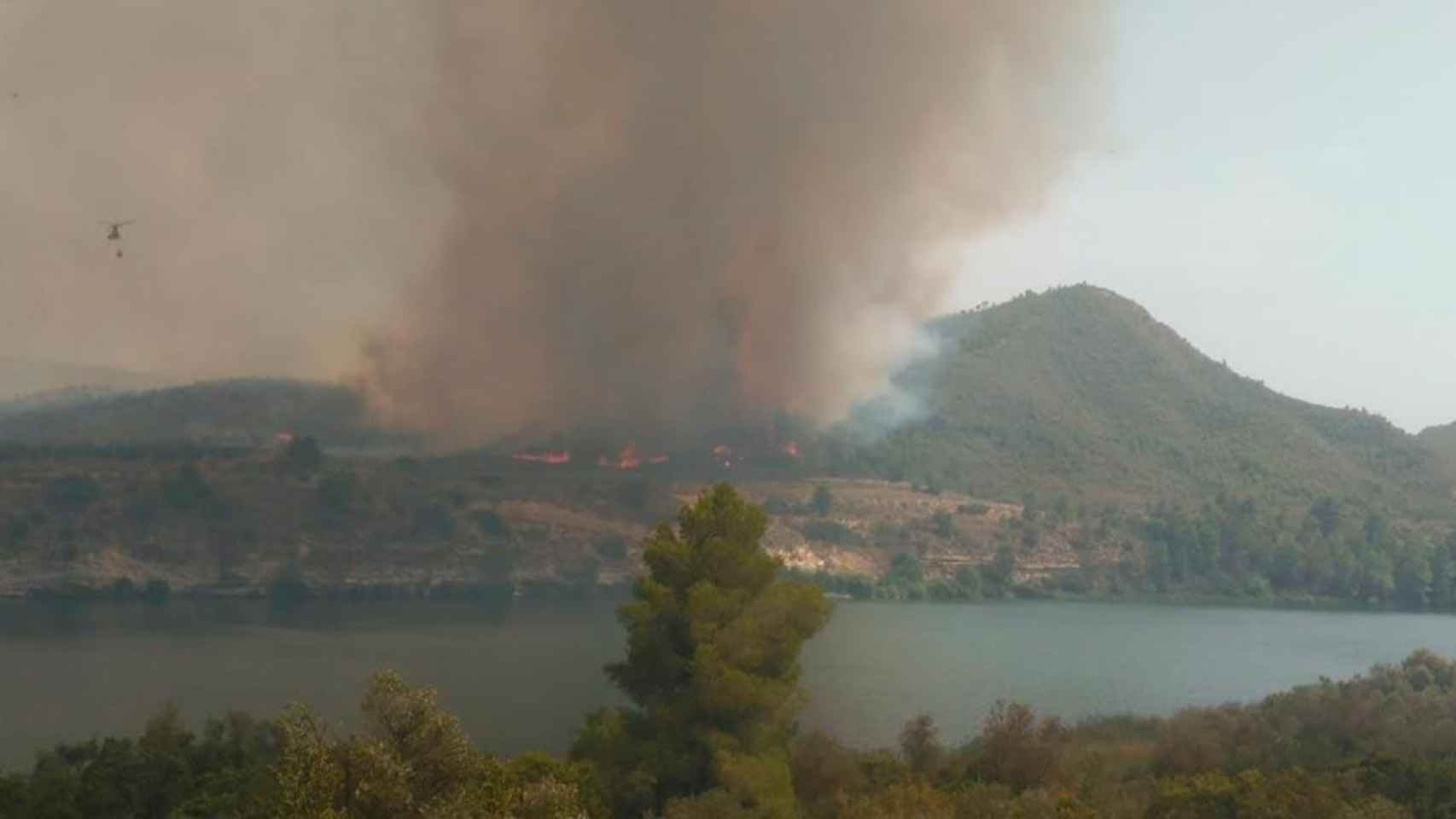 Incendio forestal en La Pobla de Massaluca (Tarragona) / AGENTS RURALS