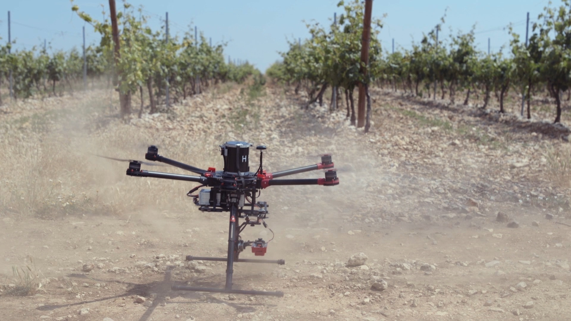 Dron en un cultivo de Andalucía / EP