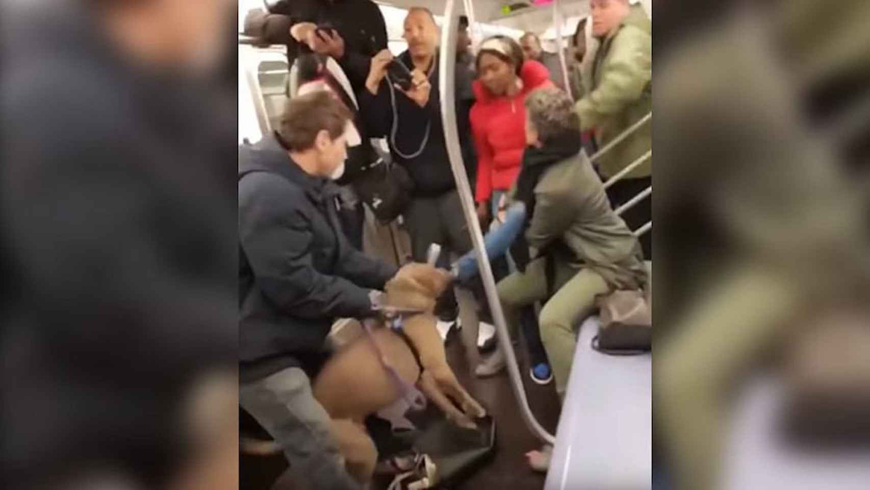 Una foto del momento en que el perro muerde a la pasajera en el metro
