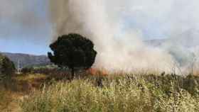 Imagen de archivo de un incendio forestal, contra los que la Diputación de Barcelona quiere luchar / BOMBERS