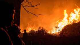 Imagen de las llamas que arrasan los bosques de Galicia / EFE