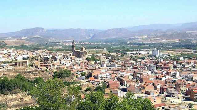 Vista general de Almenar