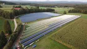 Paneles solares de una planta fotovoltaica / PIXABAY