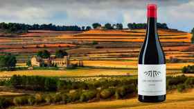 Paisaje turístico valenciano de las Terres dels Alforins, y el vino 'Los Escribanos' / CG