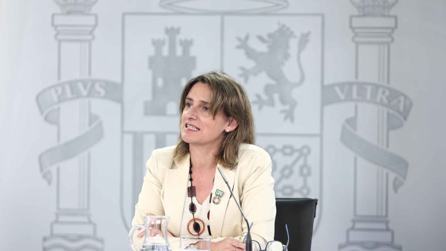 Teresa Ribera, vicepresidenta cuarta del Gobierno y ministra de Transición Ecológica / EP