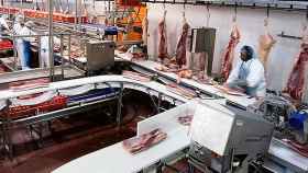 El interior de una planta del productor porcino Vall Companys / VALL COMPANYS