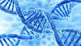Una foto representativa de genes y ADN
