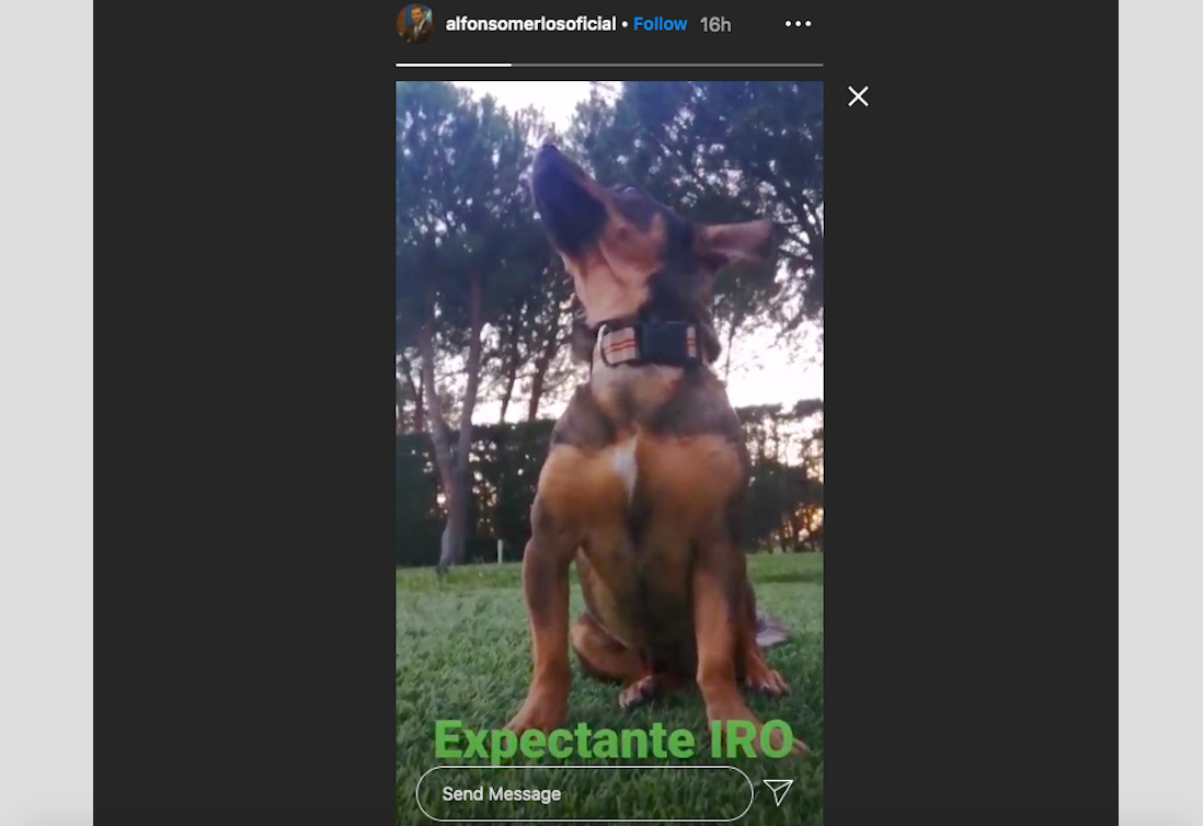 Alfonso Merlos reaparece en su cuenta de Instagram con un vídeo / INSTAGRAM