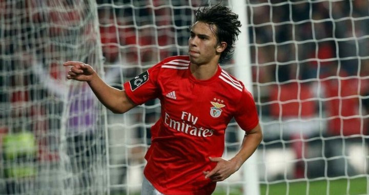 Una foto de Joao Félix celebrando un gol con el Benfica / EFE