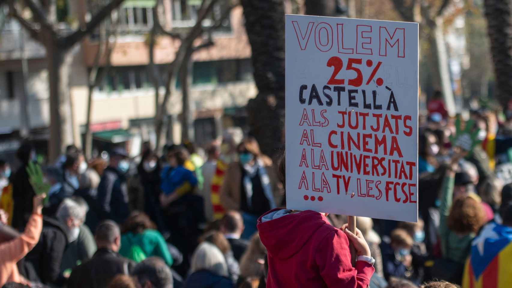 Manifestación contra el fallo del TSJC del castellano en las escuelas  / EP