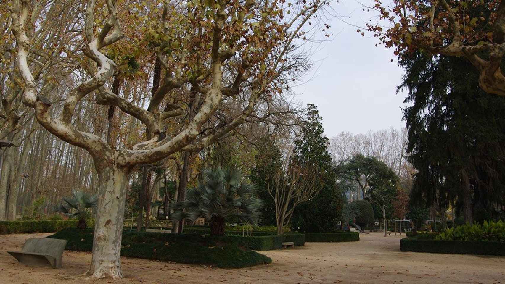 Una zona del parque de la Devesa de Girona, donde se produjo la agresión homófoba durante un botellón / WIKIMEDIA COMMONS