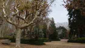 Una zona del parque de la Devesa de Girona, donde se produjo la agresión homófoba durante un botellón / WIKIMEDIA COMMONS