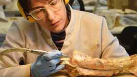 Trabajadora del Museo del Instituo Catalán de Paleontología con un fósil / ICP