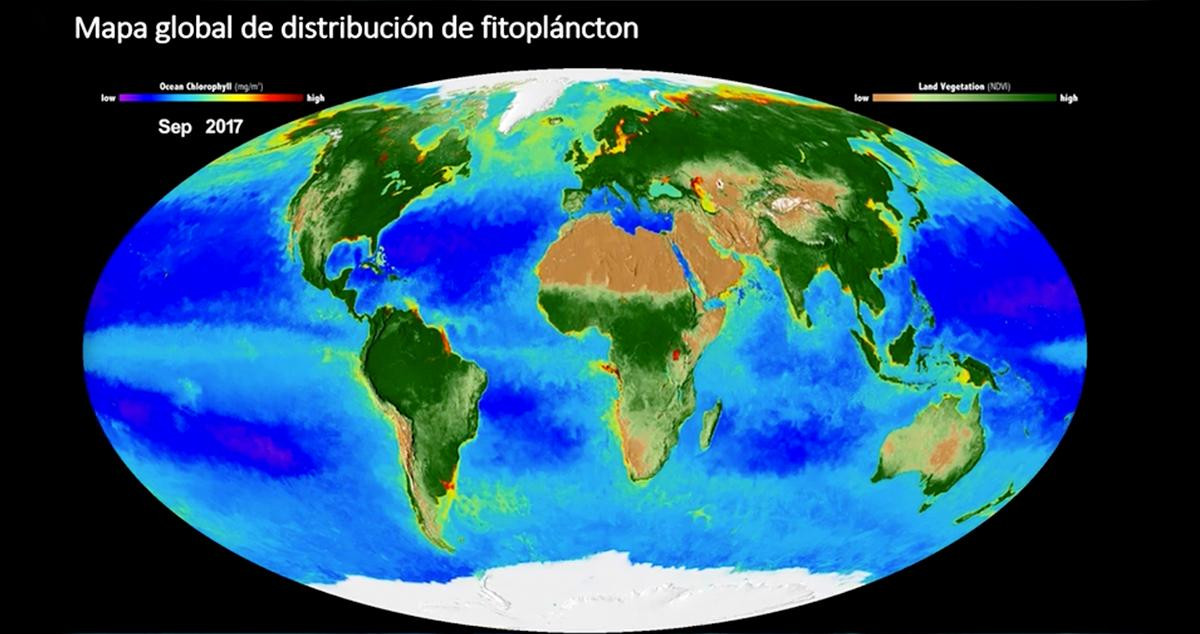 Los microorganismos acuáticos son la base de la cadena alimentaria marina según Susana Agustí / ENCUENTRO DE LOS MARES