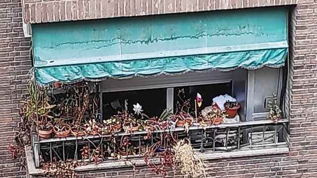 Un balcon con plantas muertas / TWITTER