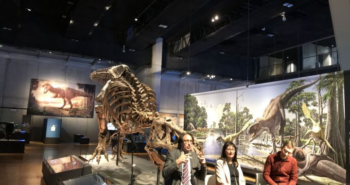 Presentación de la exposición del tyranosaurus rex Trix, en CosmoCaixa / CG
