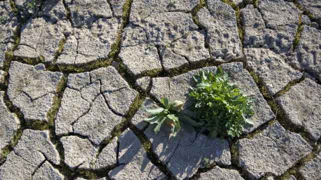Sequía en el pantano de Rialb, a 27 de marzo de 2023 / LORENA SOPÊNA - EUROPA PRESS