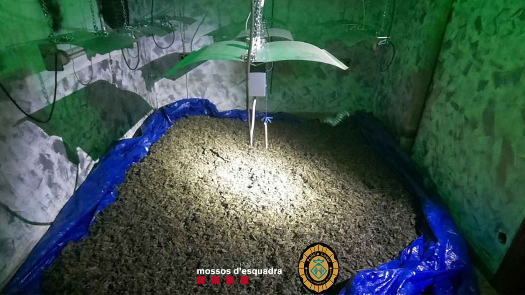 Saco de cogollos de marihuana decomisado en Vandellòs / MOSSOS