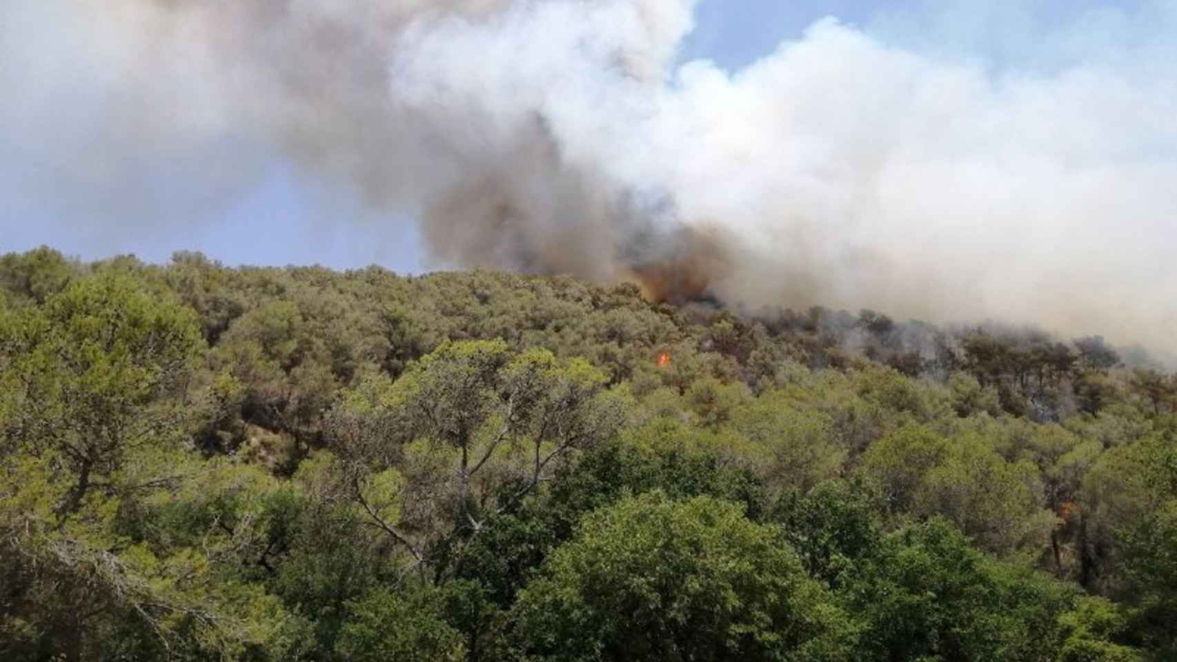 Incendio de vegetación forestal en Olivella (Barcelona) / BOMBEROS DE LA GENERALITAT