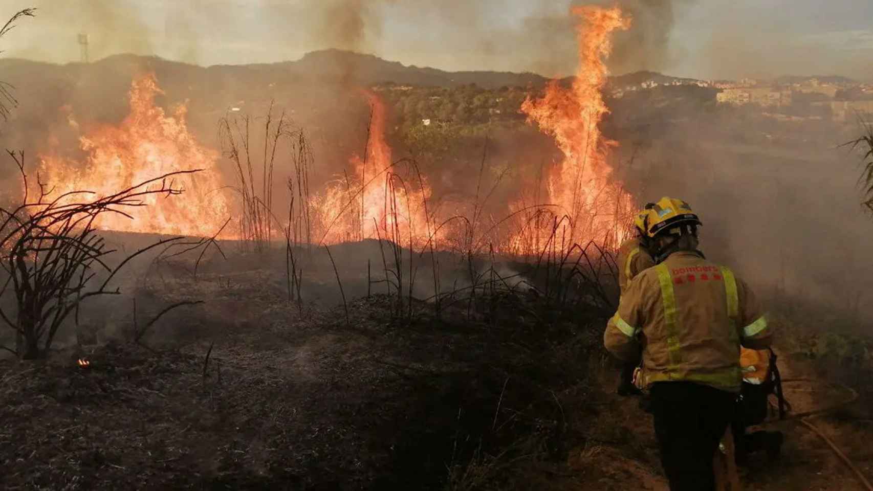 Incendio forestal en Terrassa